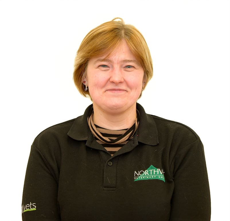 SQP advice on farm animals, equine and companion.