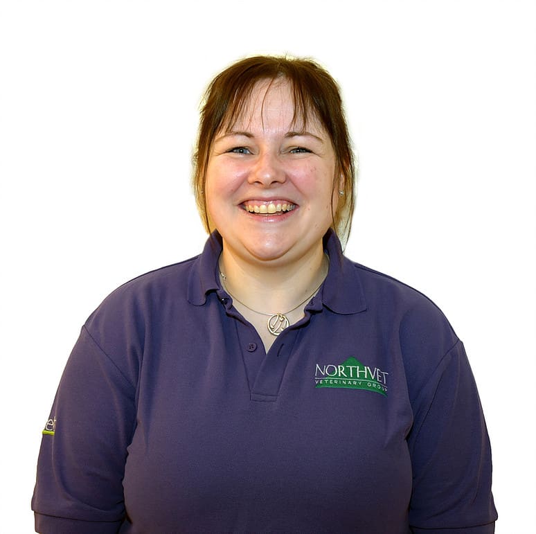 SQP advice on farm animals, equine and companion.