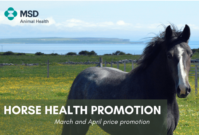 Horse Health Promotion Horse Health Promotion