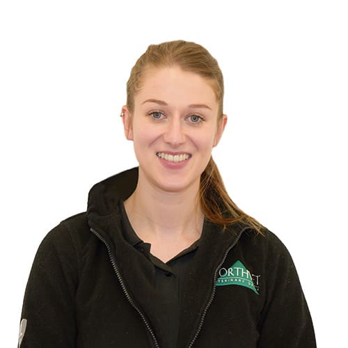 Marketing Coordinator