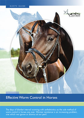 Worm Control In Horses